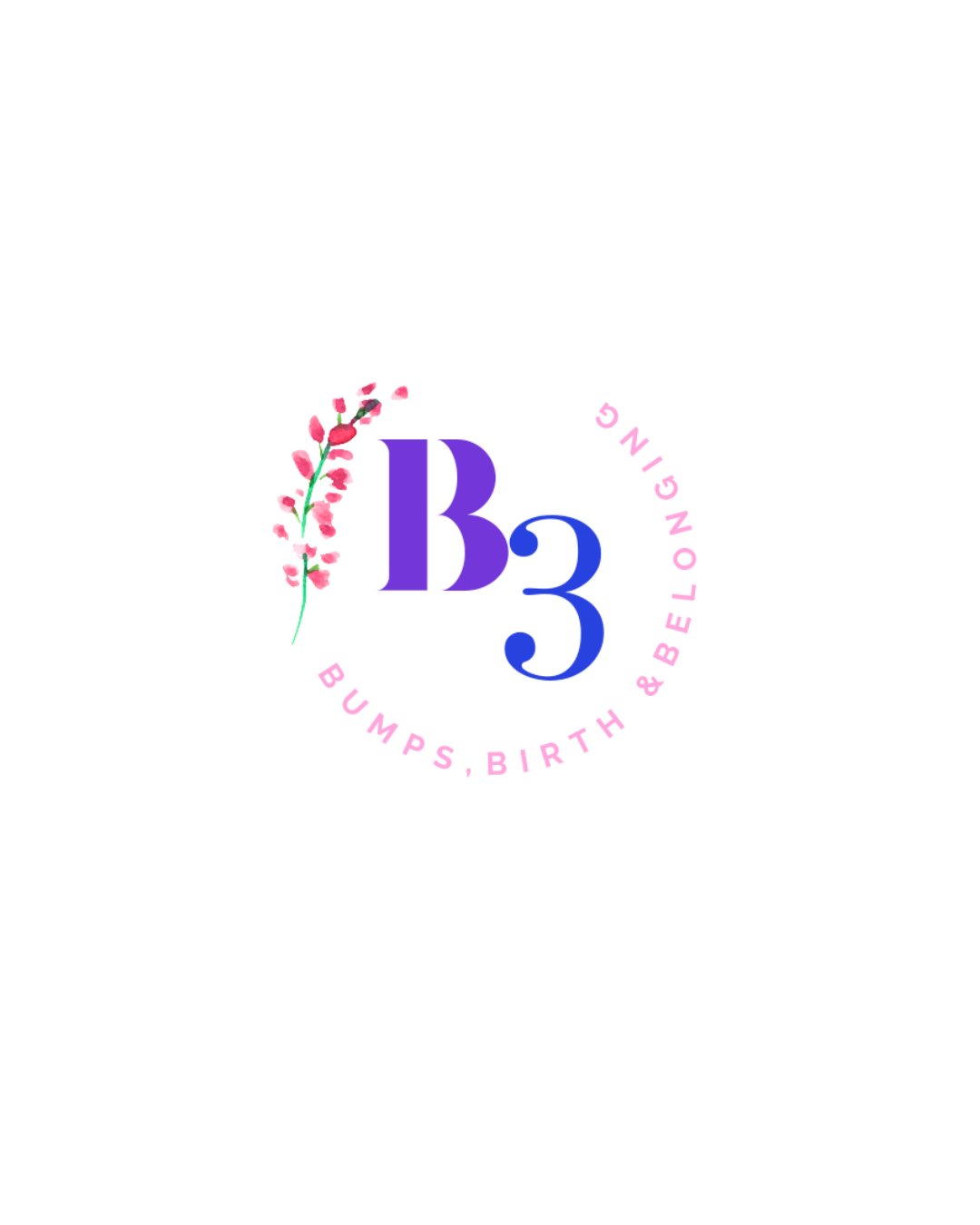 B3 - Bumps, Birth and Belonging CIC logo